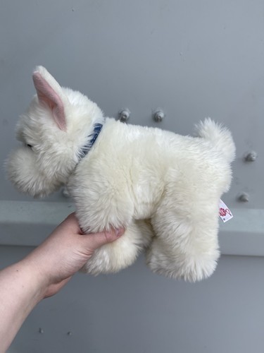 Keel cuddle puppies west - keel,