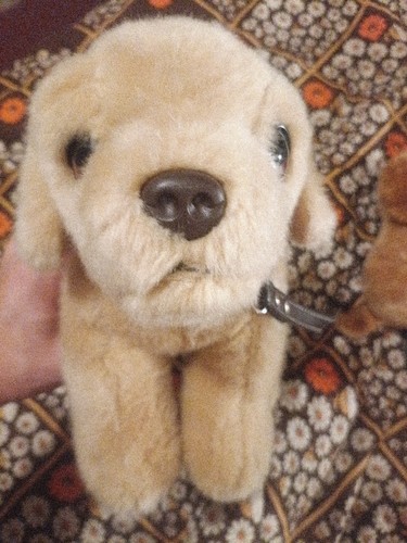 Keel toys signature cuddle - toys,