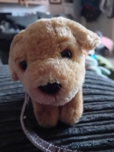 Keel toys small - small, golden