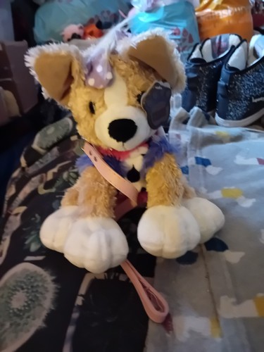 Posh paws puppy - puppy, on