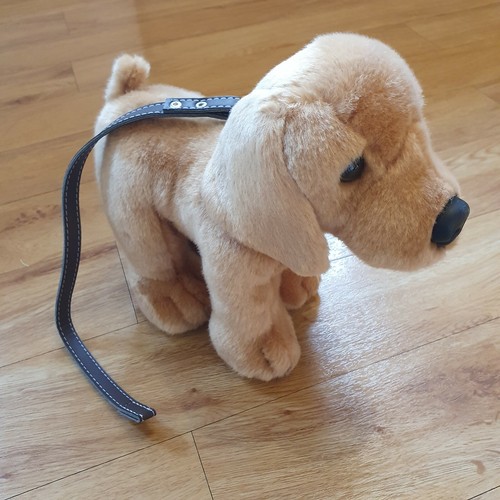 Keel dog puppy lead soft - keel, on