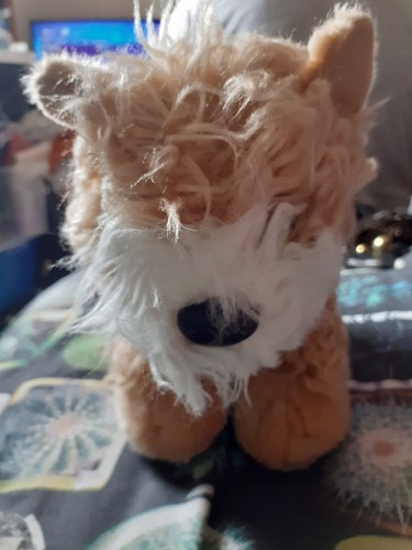 Keel toys jack russell - russell, a