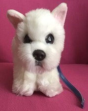 Keel Cuddle Puppies West