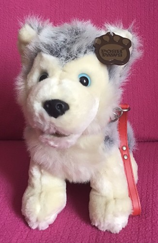 Posh paws husky wolf - husky, on