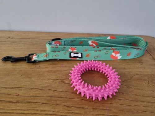Dog lead and - 5,